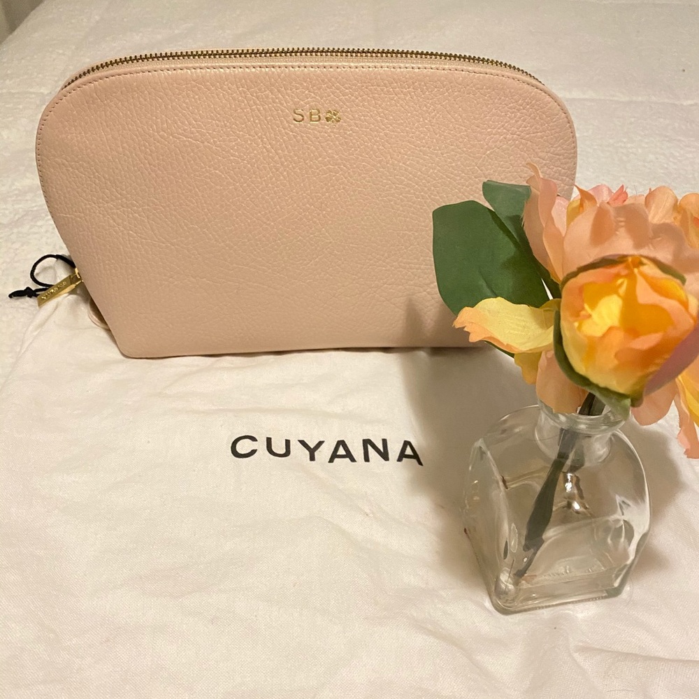 Cuyana large leather pouch